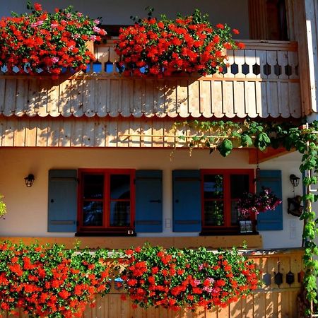 Gaestehaus Wild-Schuetz Schwangau Eksteriør bilde