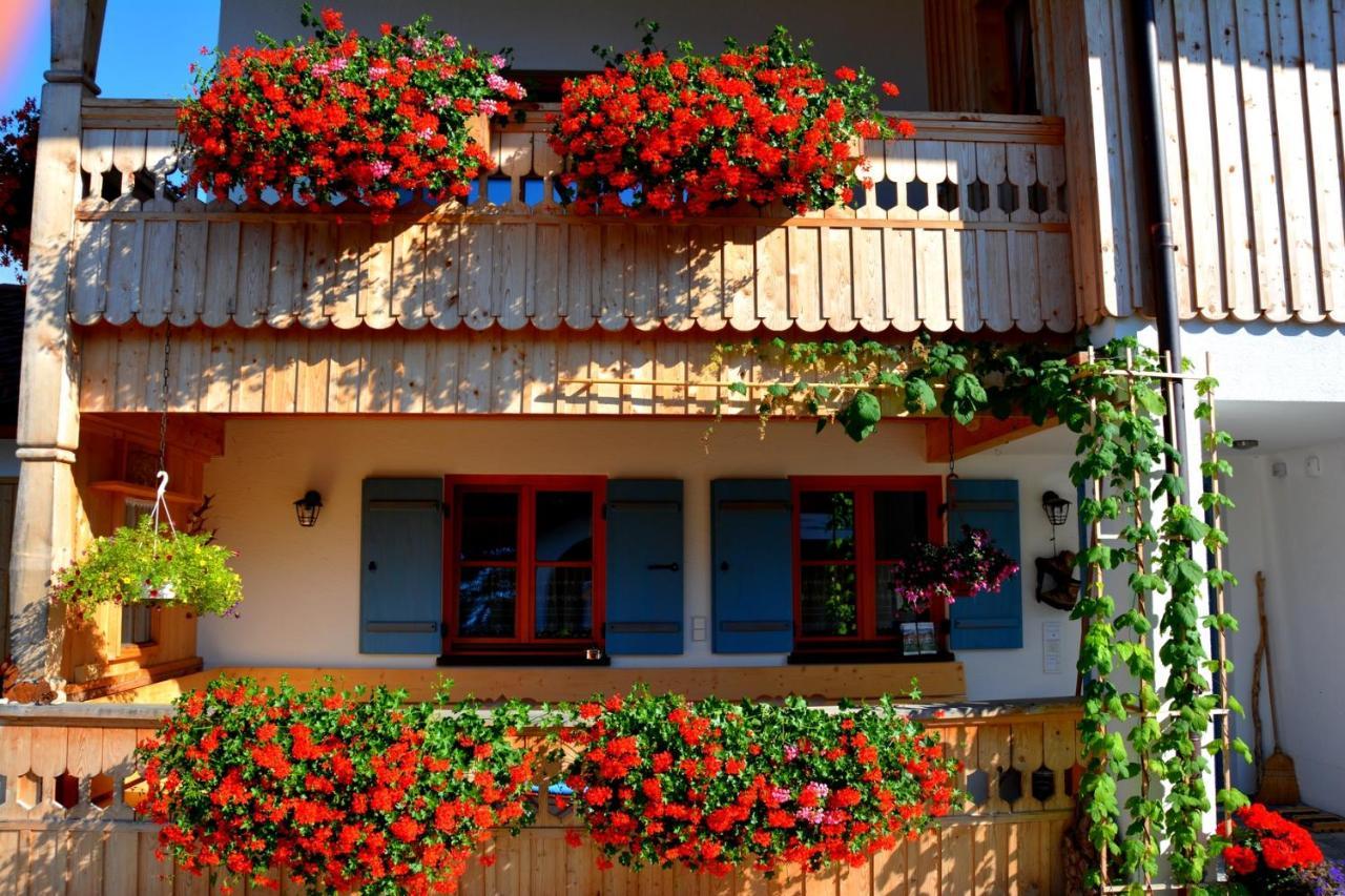 Gaestehaus Wild-Schuetz Schwangau Eksteriør bilde